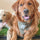 Using Dog Grass in Apartments and Small Spaces: Practical Solutions