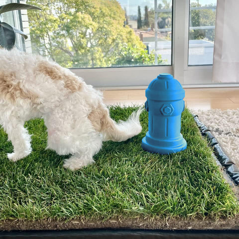 Potty Training Fire Hydrant