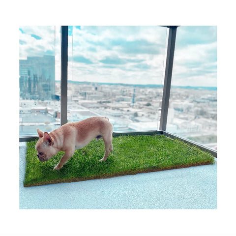 dog real grass pad for balcony