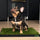 The Convenience of Dog Grass Subscriptions: How It Works