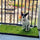 Prevent Odors and Damage With These Dog Potty Grass Pro Tricks
