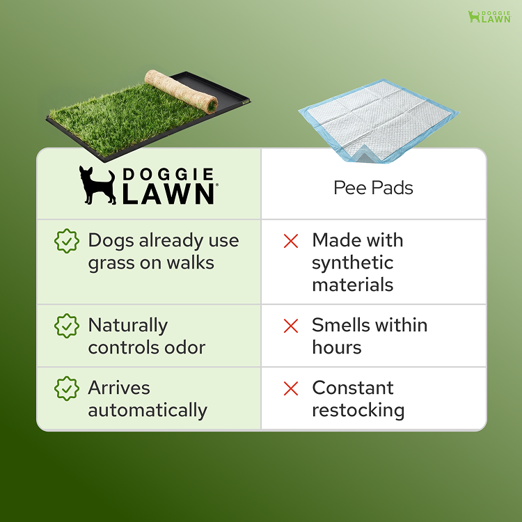 DoggieLawn - TEST FOR NEW PAGE