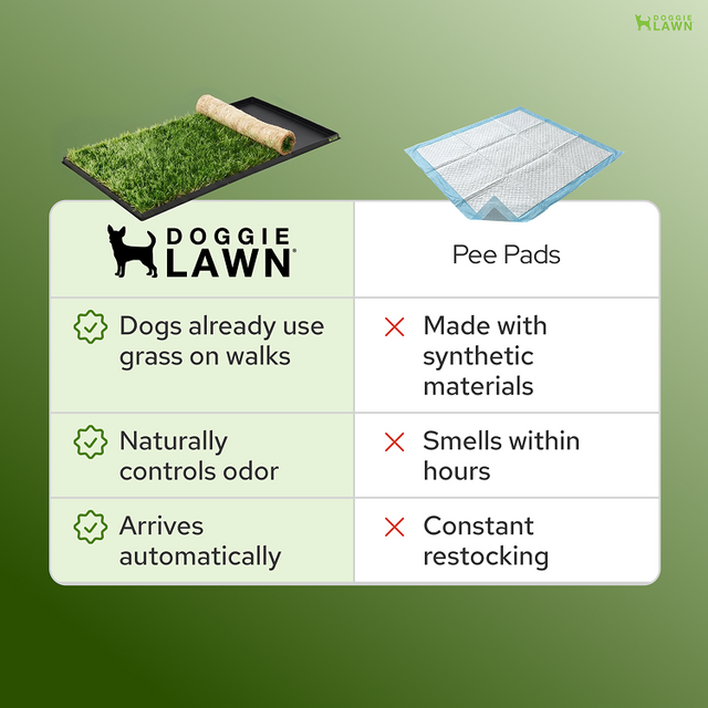 DoggieLawn - TEST FOR NEW PAGE
