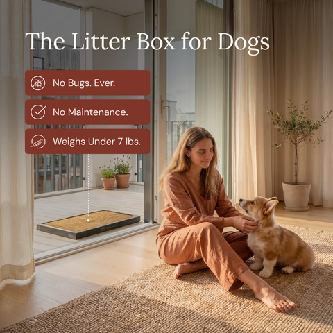 Bark Potty - Large