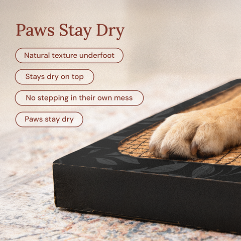 Bark Potty - Large