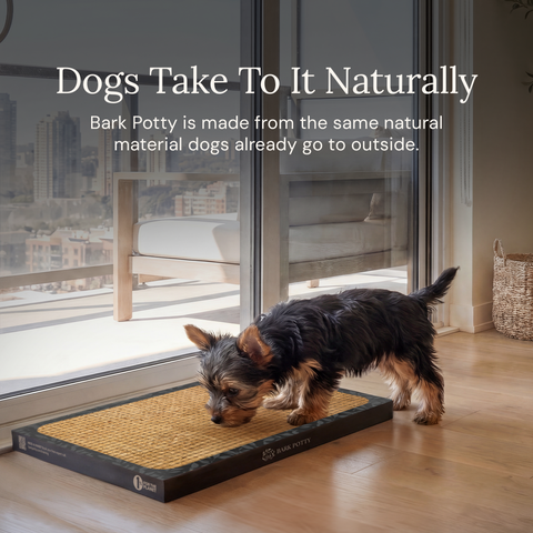 Bark Potty - Large