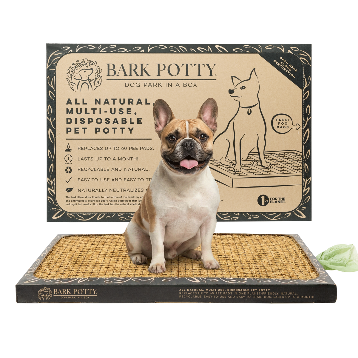 French bulldog sitting on a Large Bark Potty disposable dog potty pad with the open box behind.
