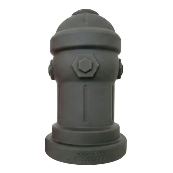 Potty Training Fire Hydrant