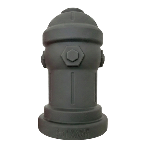 Potty Training Fire Hydrant