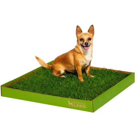 Grass potty pads for large dogs hotsell