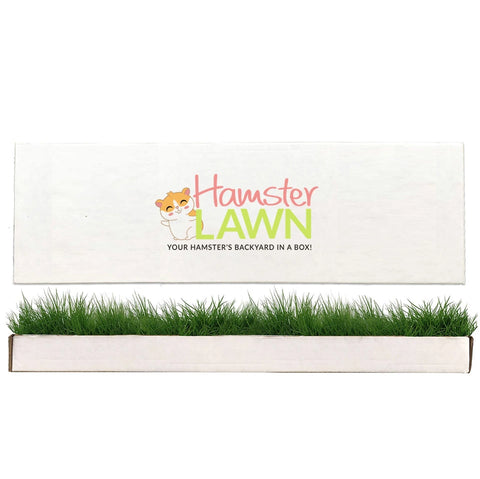 Hamster Lawn