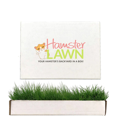 Hamster Lawn