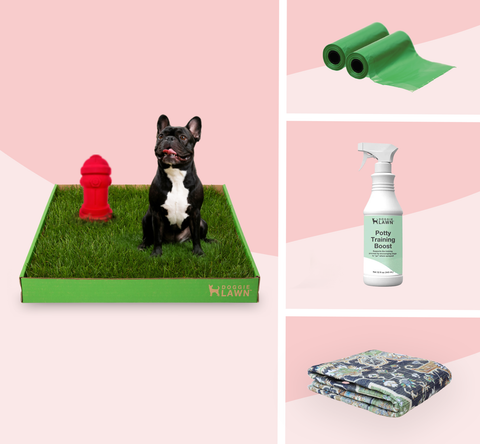 DoggieLawn Potty Training 5-in-1 Bundle