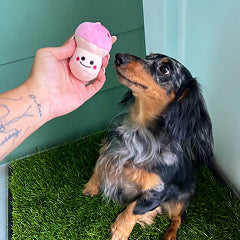 DoggieLawn