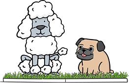 XXL DoggieLawn
