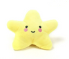 Yellow Star Squeaky Toy