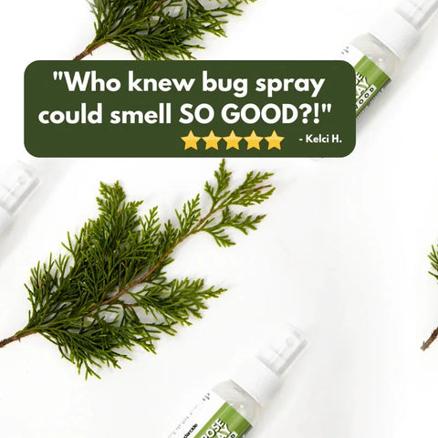 Cedarcide bug spray bottles arranged with fresh cedar sprigs, with a five-star customer review quote about how good the spray smells.