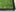 Corner of a black PVC flex-tray holding a real grass dog potty pad on a stone patio.