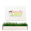 Guinea Pig Lawn Petite real grass pad with branded packaging and fresh green grass growing from the tray.