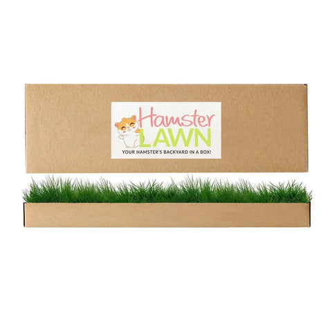HamsterLawn real grass pad in branded cardboard packaging with fresh green grass growing from the tray.
