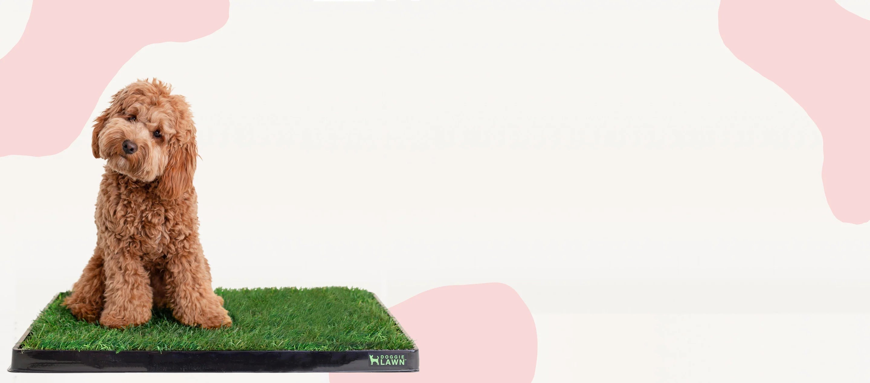 Dog Potty Grass DoggieLawn Eco Friendly Indoor Grass For Dogs