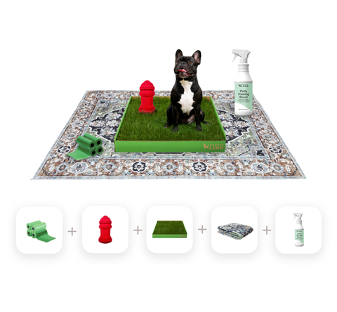 Grass Potty Training 5 in 1 Bundle Kit for Dogs DoggieLawn