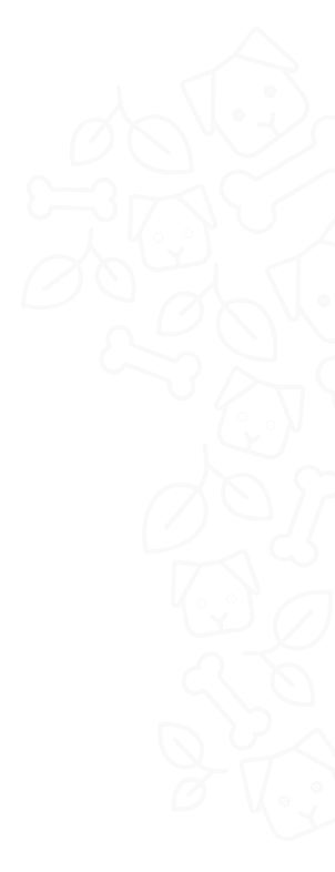 whats-included-bg