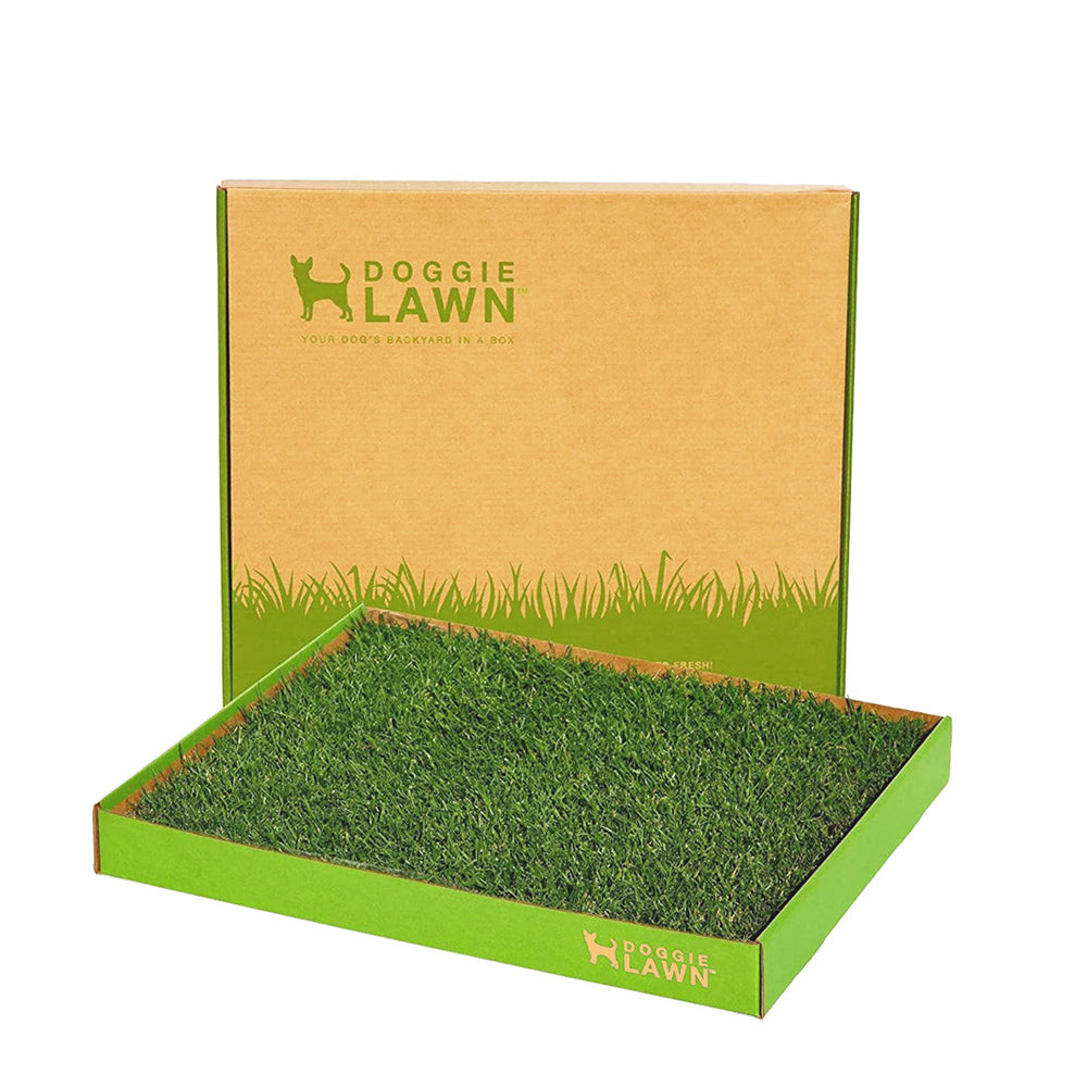 Disposable Grass Potty for Dogs DoggieLawn