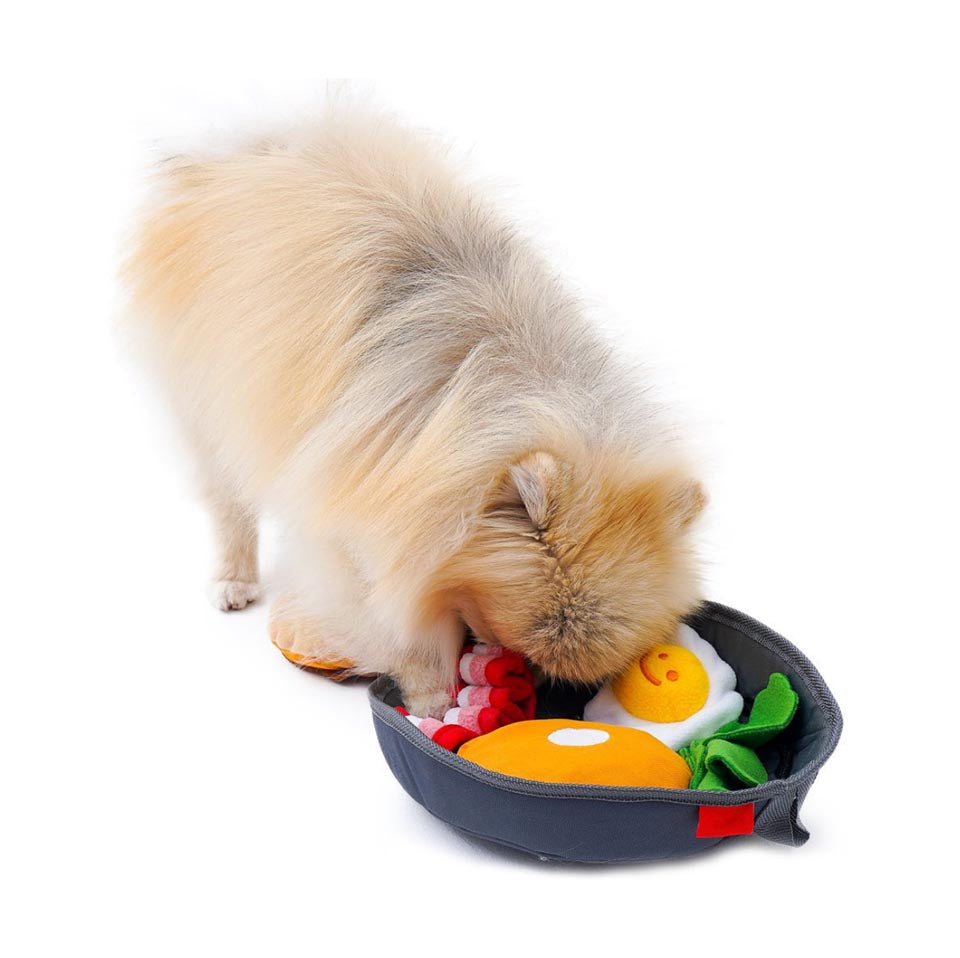 Snuffle Mat in Tray Shape Type A - Dog & Cat Toys by GROOMY – DOGTV